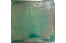 FAC1205